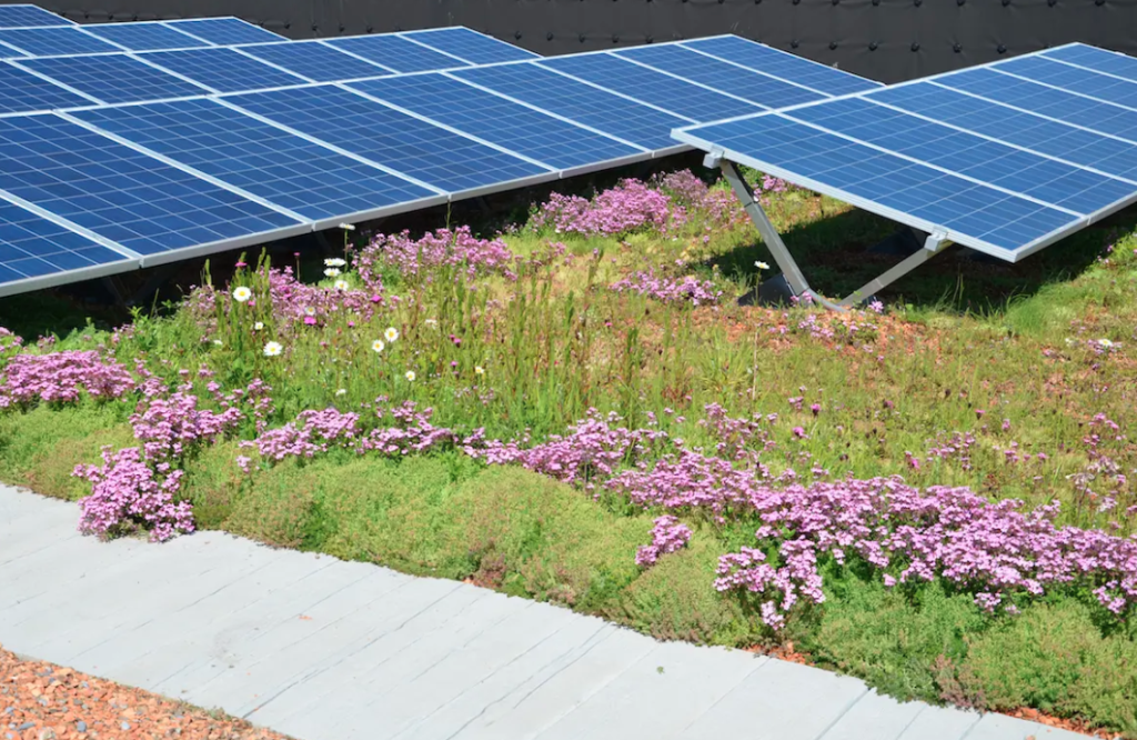 Baude Mixed PV-Green Roof Systems