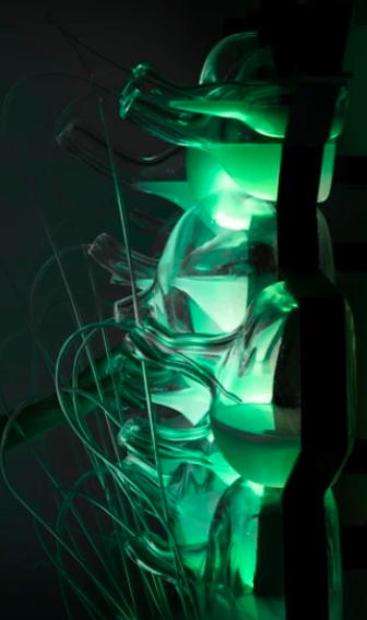Philips bio-light